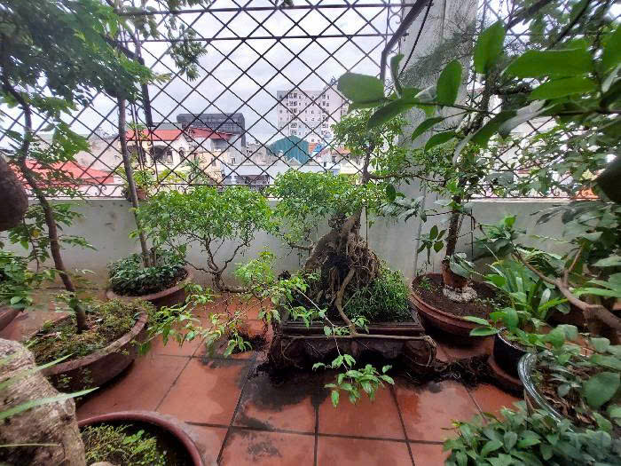 nhà đất Định Công